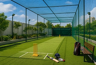 Cricket Net